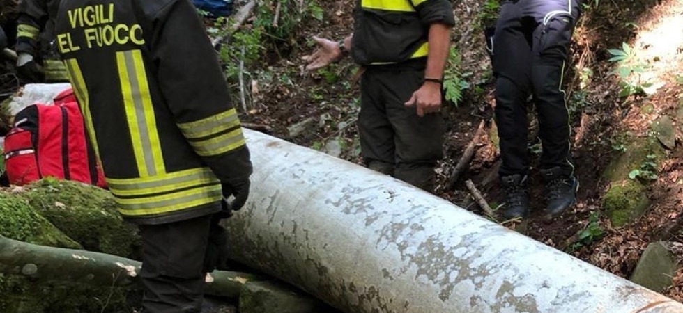 Colpito alla testa dall’albero che stava tagliando, muore dopo il ricovero in ospedale: la vittima è Domenico Sandalini